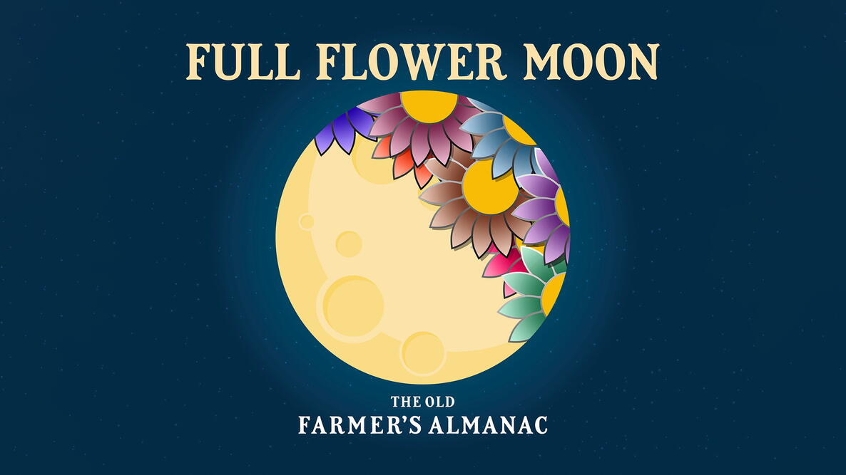1777732244873_full 20flower 20moon