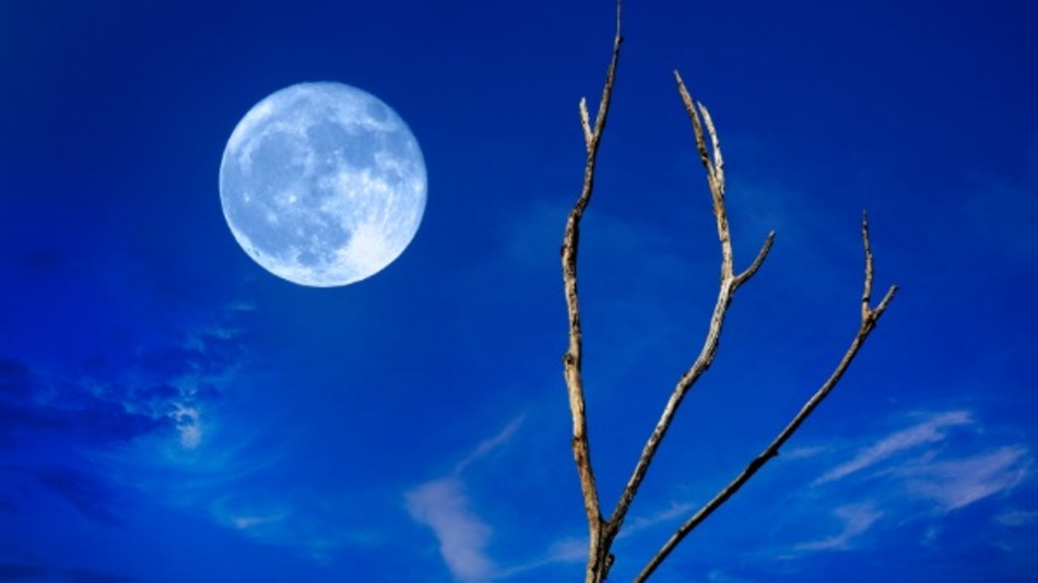 1780324002412_moon blue