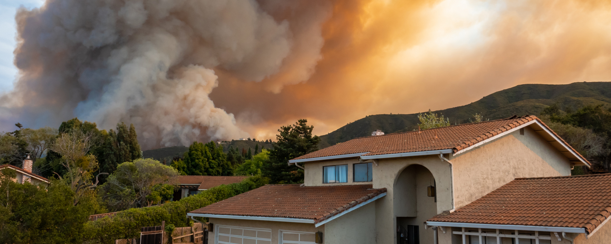 How Wildfires Start, Spread, and How to Read Fire Maps