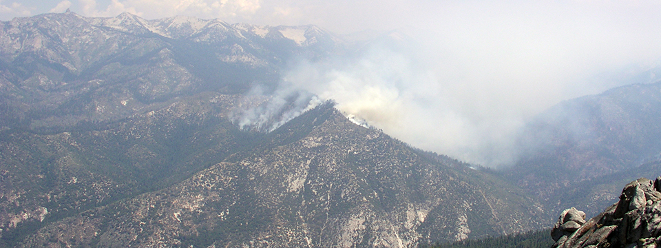1786113276256_wildfire causes and evaluation wilderness