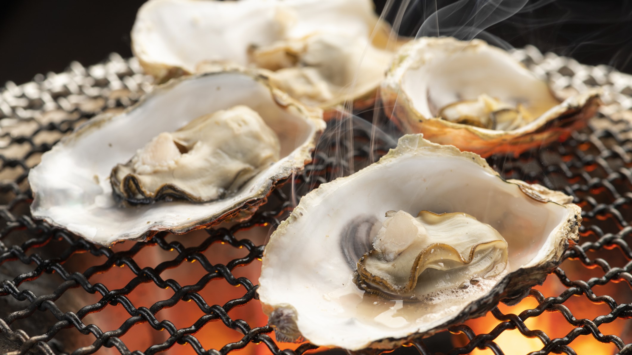 Vibrio Vulnificus: The Seafood Danger You Need to Know About