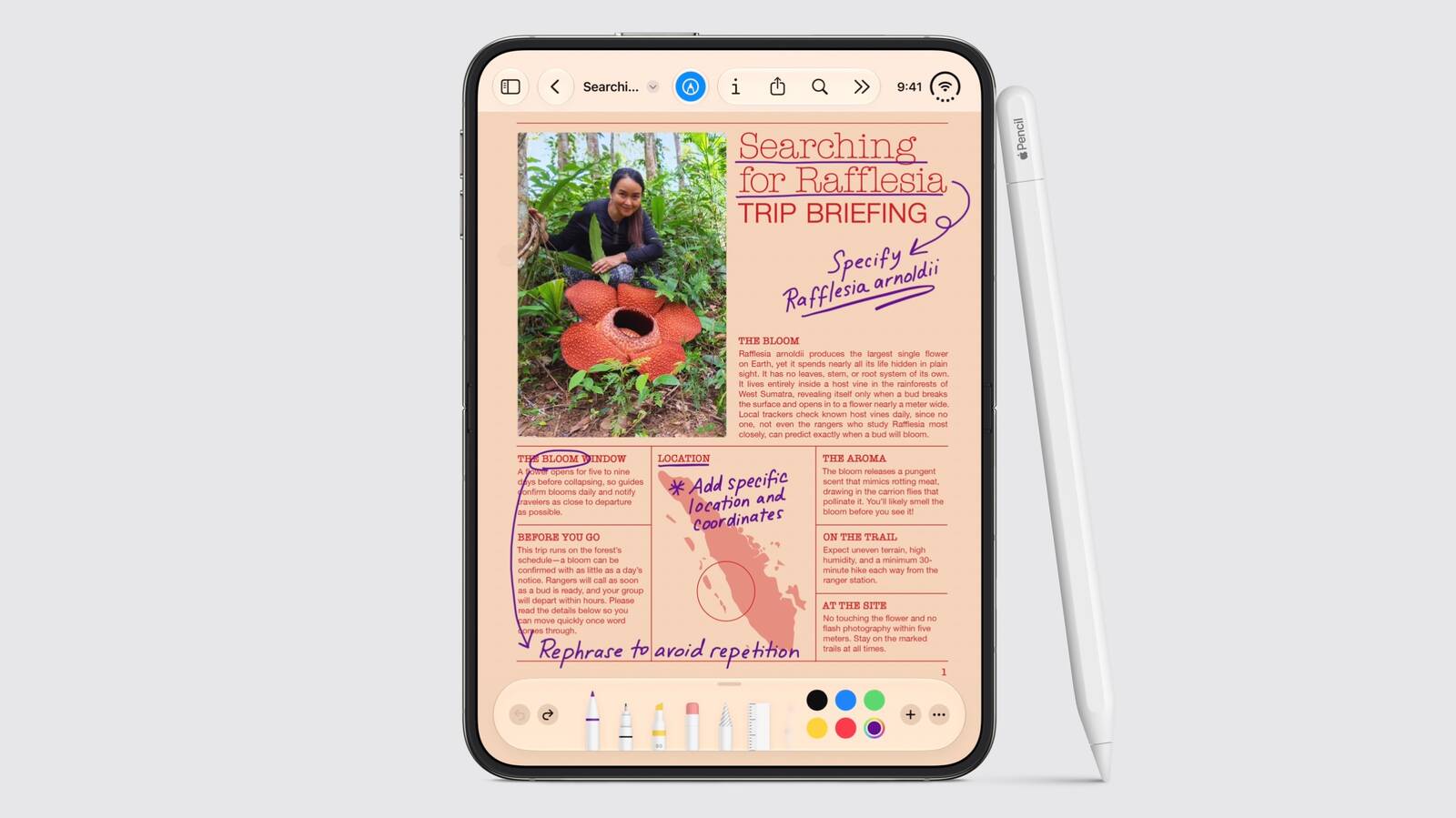 1789397313941_iphone duo apple pencil