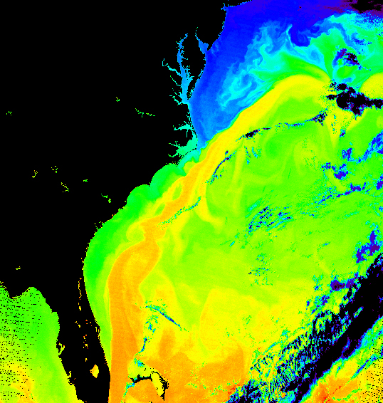1790088438328_Gulf_Stream_water_temperature